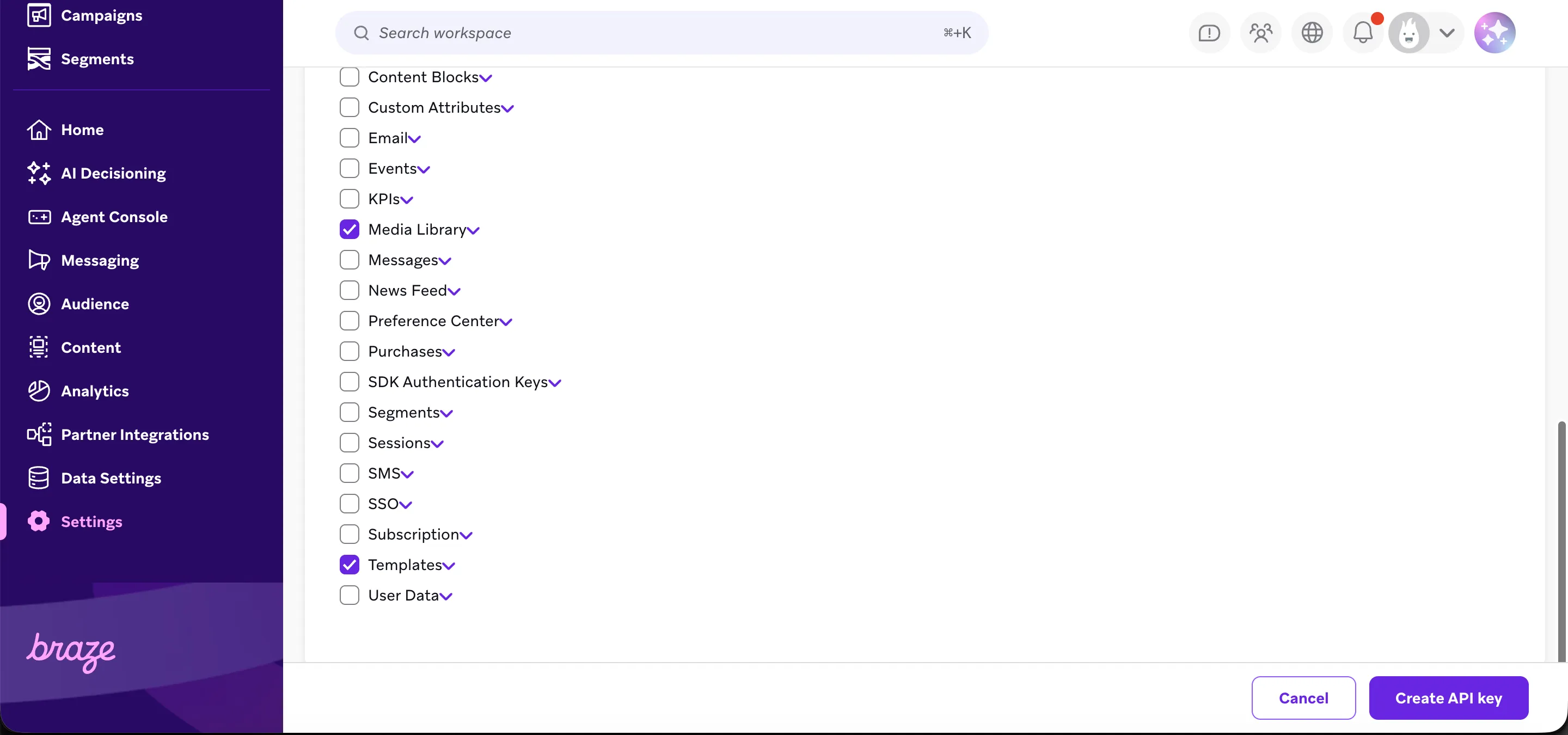 Braze API key permissions