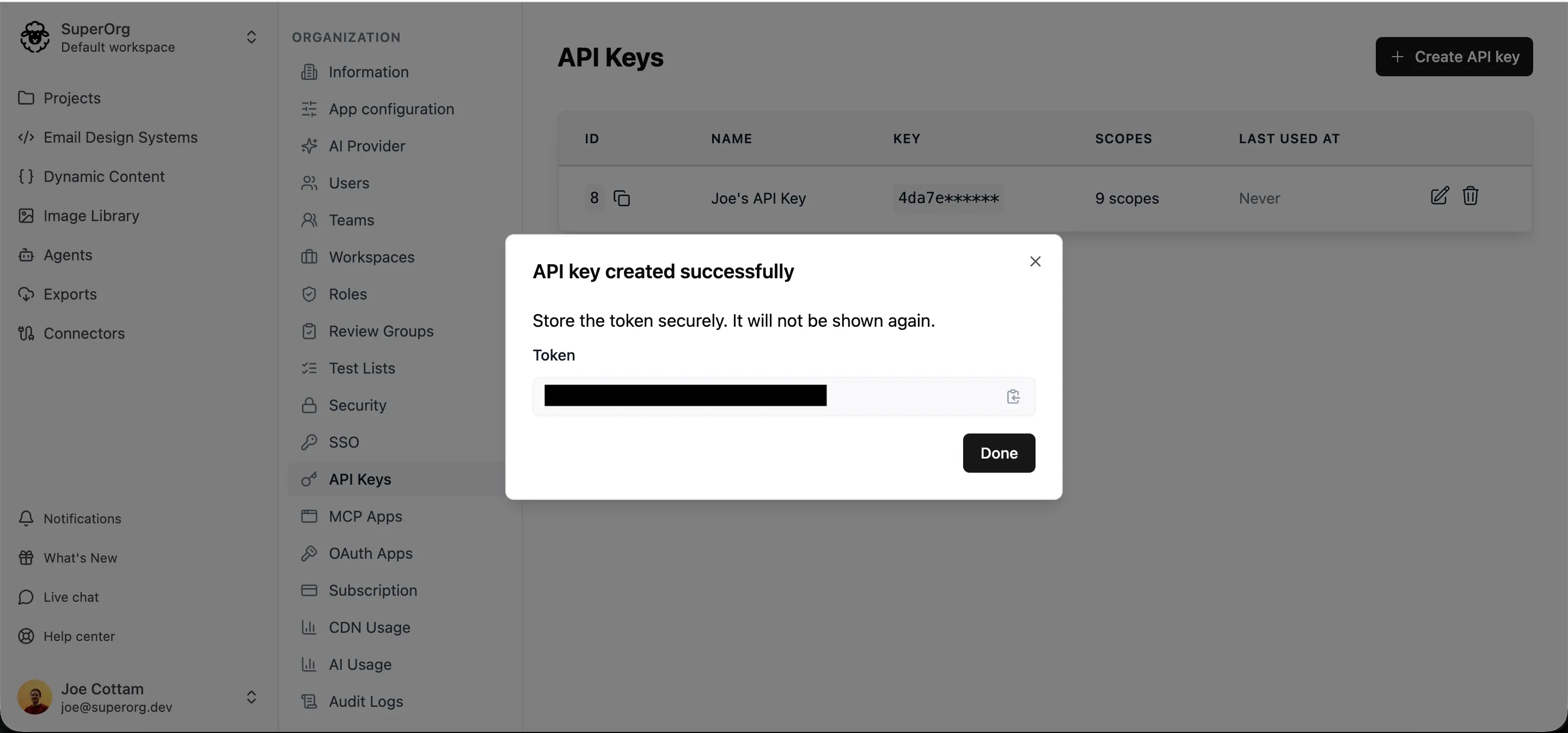 The newly created API key shown once