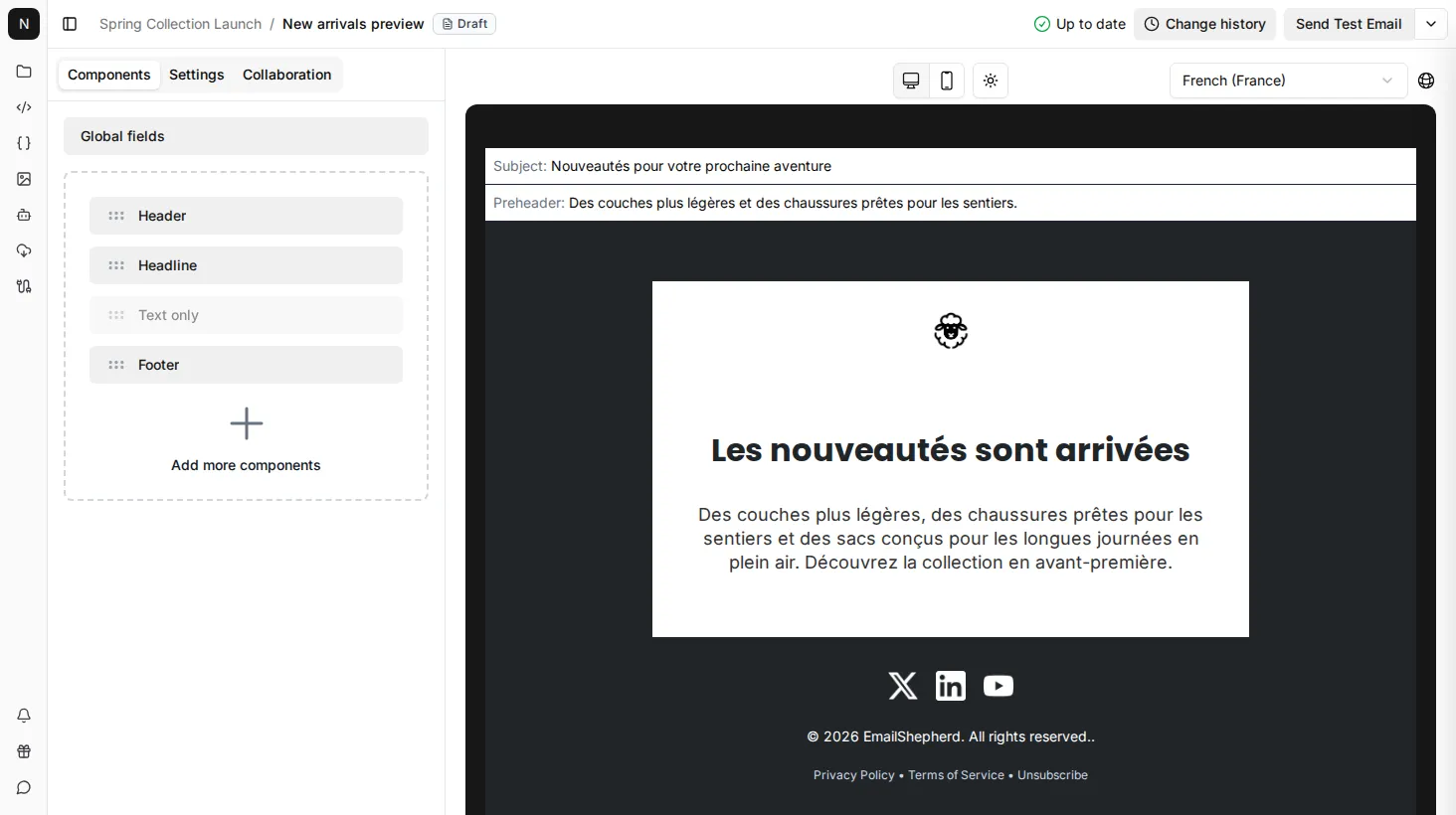 The French version of the email, with the free shipping component hidden