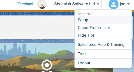Salesforce Marketing Cloud Setup